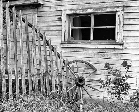 Abandoned Farmstead, Lacombe, Alberta 1989