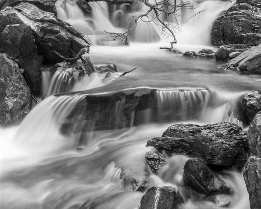 Spring Flow, Cat Creek, 2004