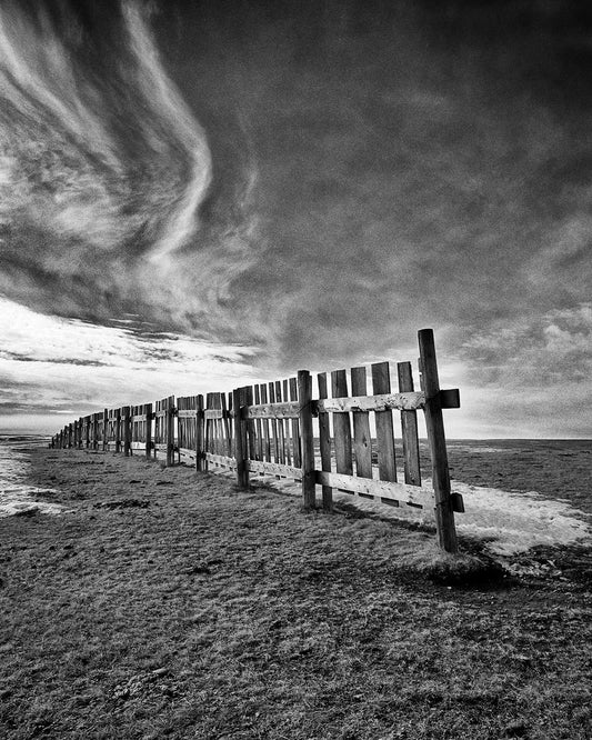 Snow Fence, Delia, Alberta, 2001