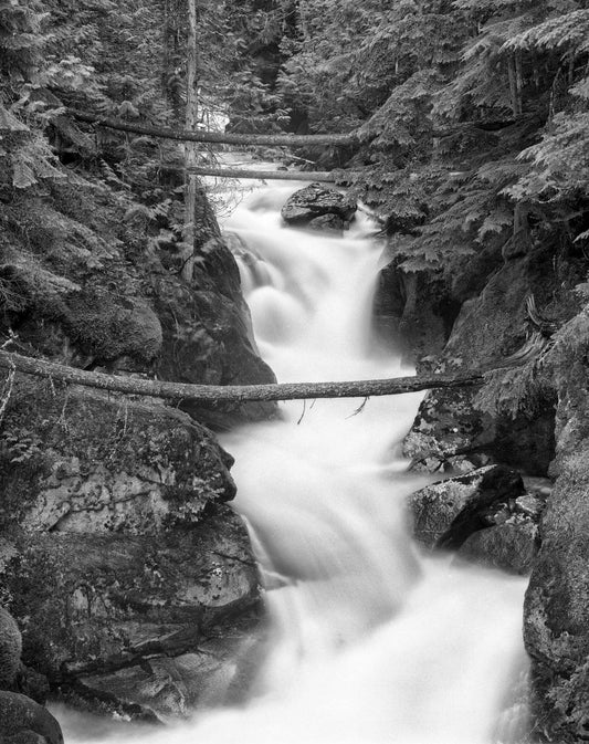 Kokanee Creek #2, 1992