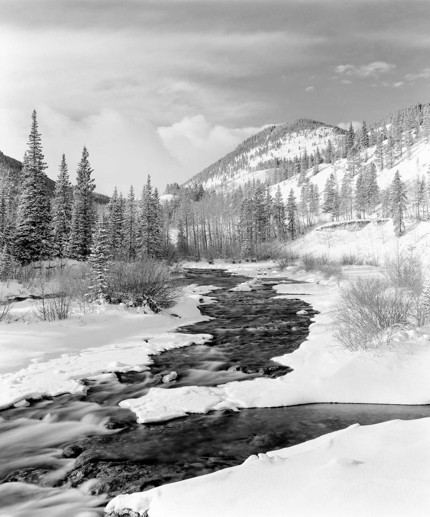 Confluence, Little Elbow River, 1985