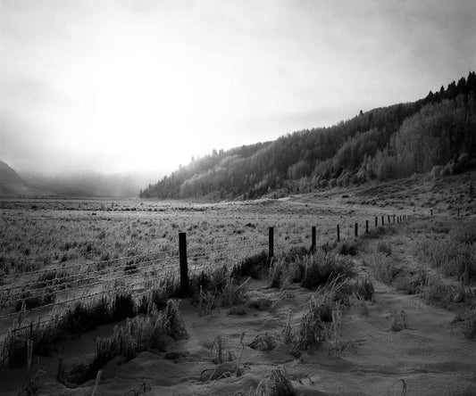 Fence in Winter Fog, Alberta 2007