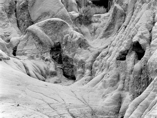 Badlands and Bison Bones, 1989