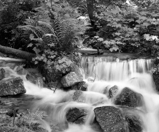 Sticks and Stones, Kokanee Creek, 1992