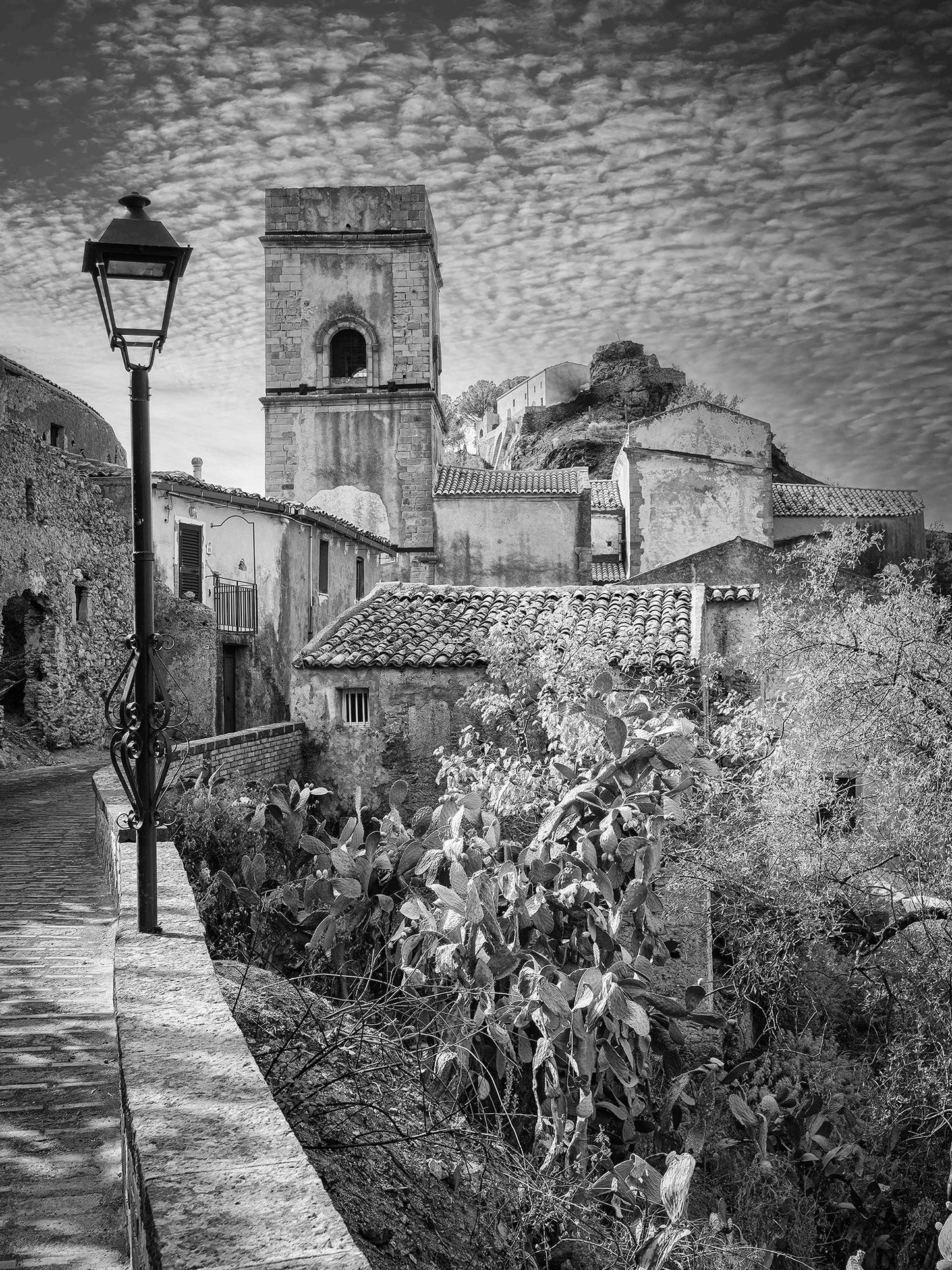 Shadow and Light, Savoca, Italy 2023