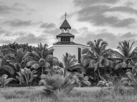 Refuge Amongst the Palms, Kihei, Maui
 2019