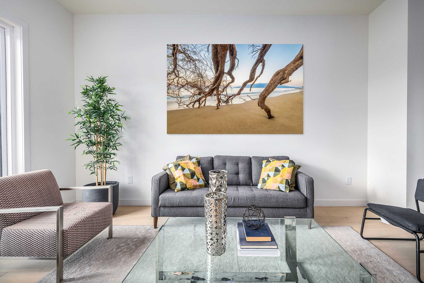 A Drapery of Branches, Kihei, Maui
2023