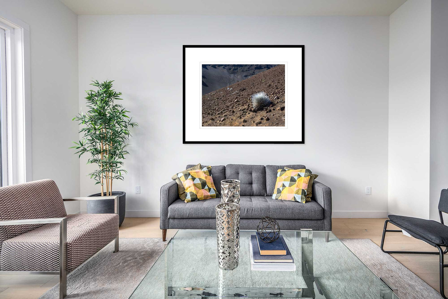 Precarious, Silver Sword, Haleakala Crater, Maui
2023