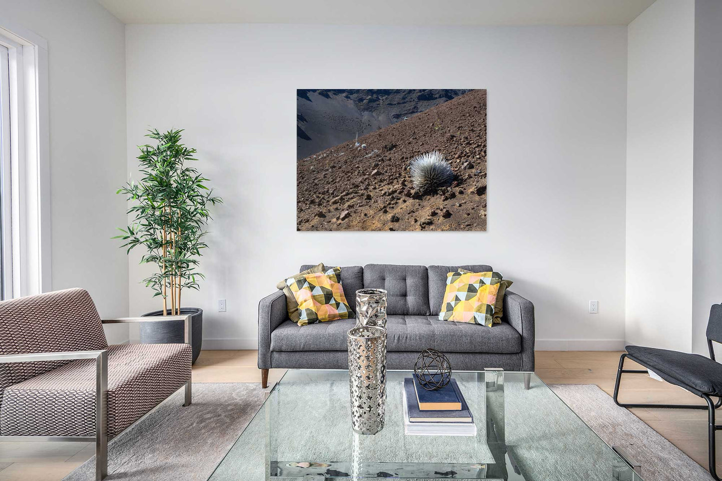 Precarious, Silver Sword, Haleakala Crater, Maui
2023