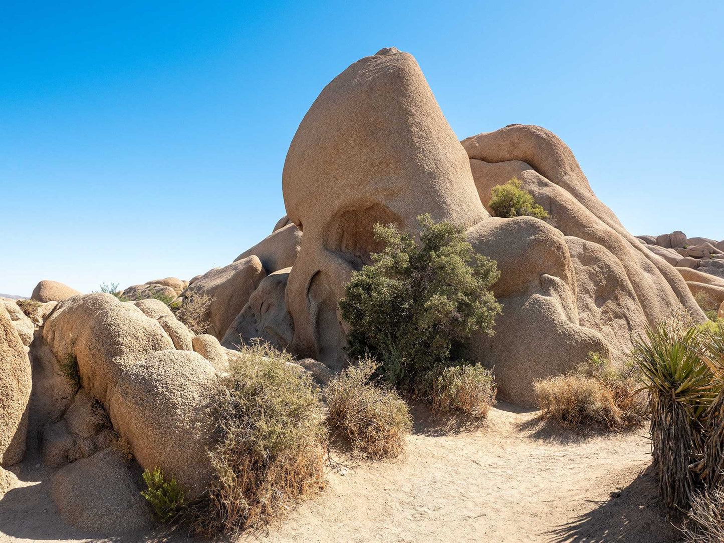 Skull Rock, Joshua Tree National Park 2019