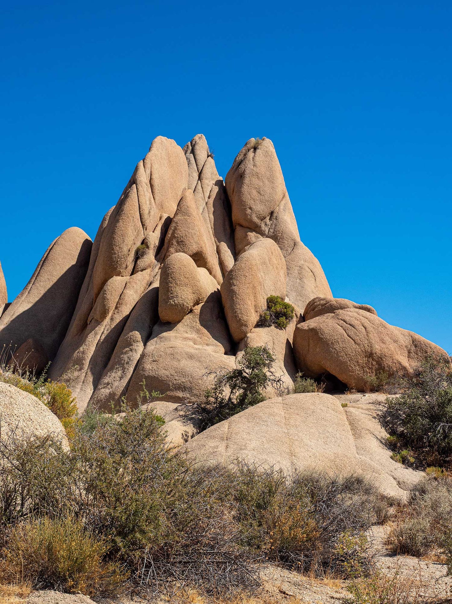 Rock Nodules, Joshua Tree National Park 2019