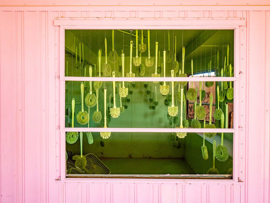 Toilet Brush Installation, Bombay Beach, Salton Sea 2019