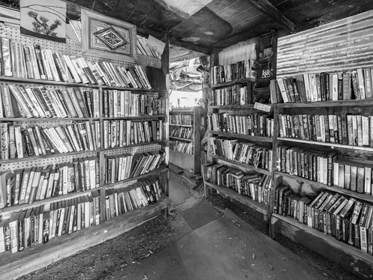 Slab City Library #1, Salton Sea 2019