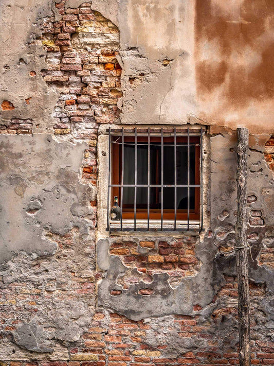 Mooring Post #4, Venice, Italy 2014