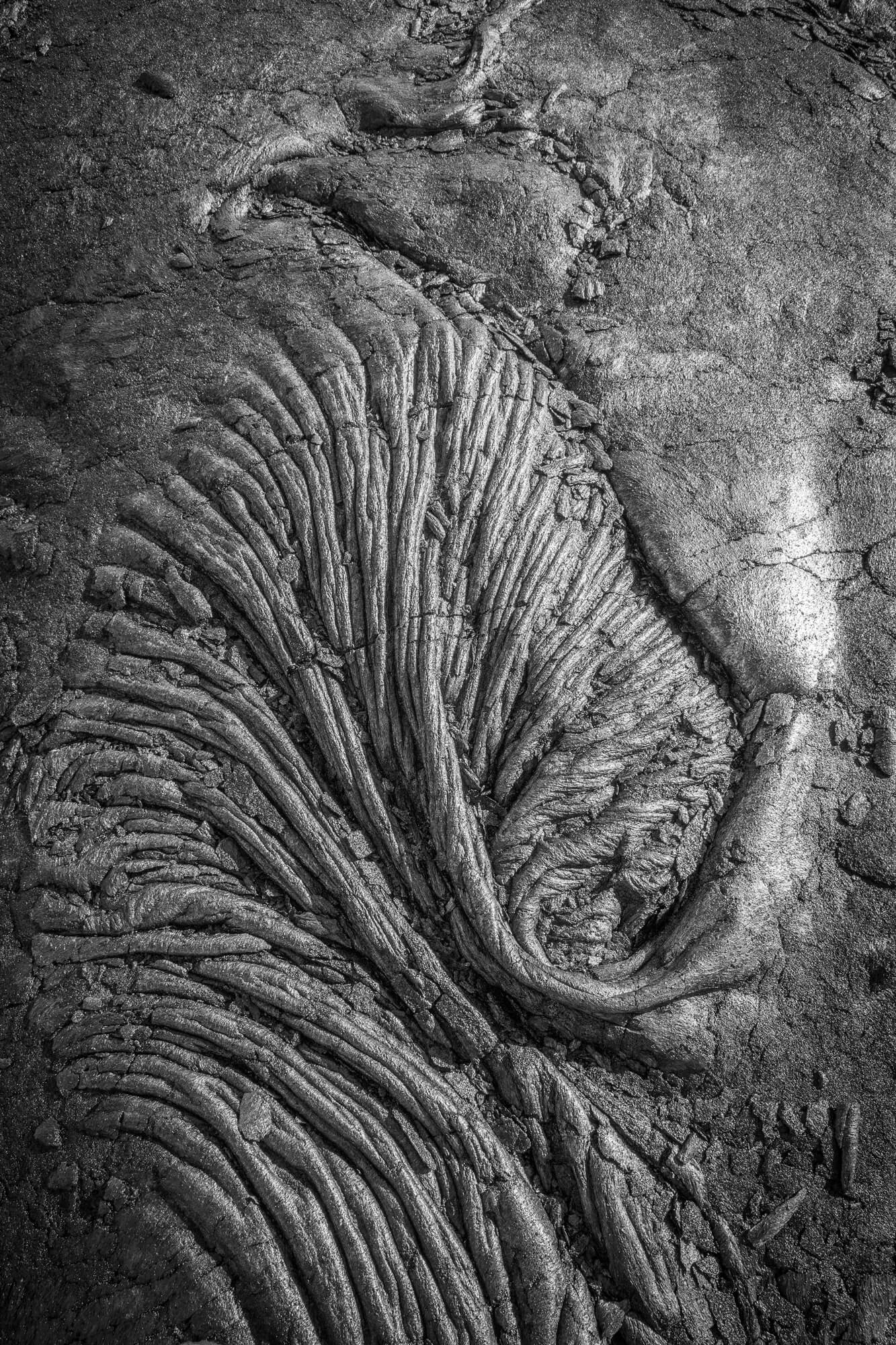 Lava Fan, Kīlauea Portfolio, Hawaii 2012