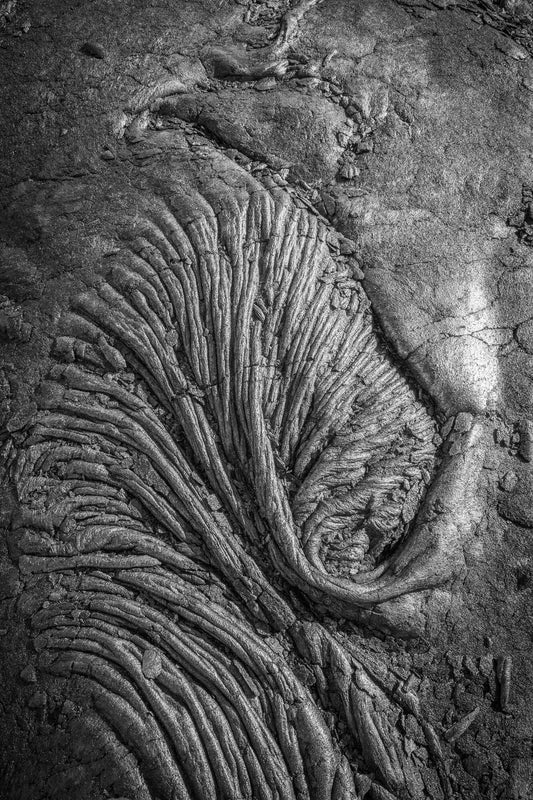 Lava Fan, Kīlauea Portfolio, Hawaii 2012