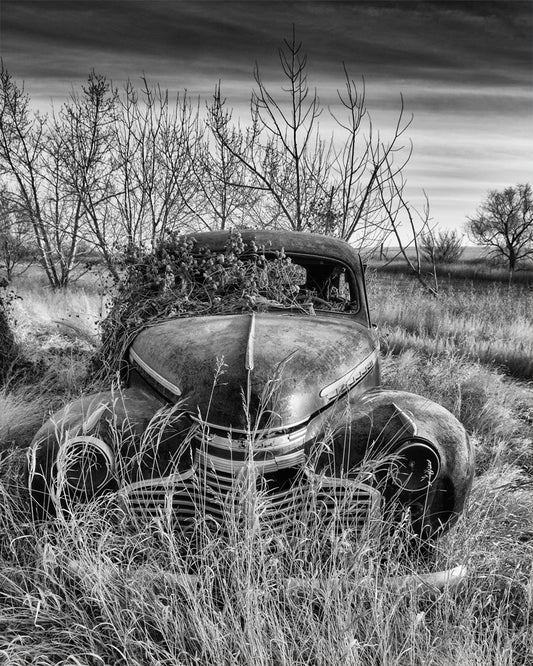 Relic, Saskatchewan 2012
