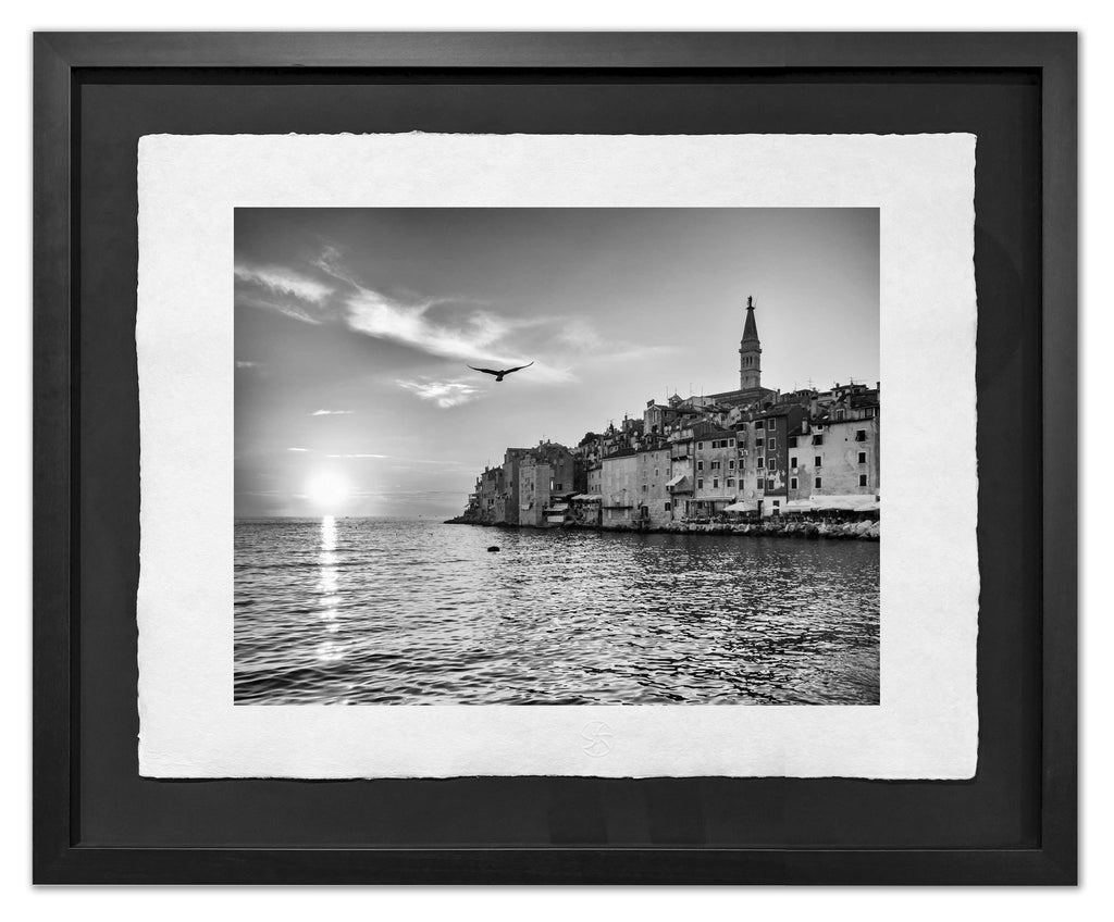 One Gull Hovering, Rovinj