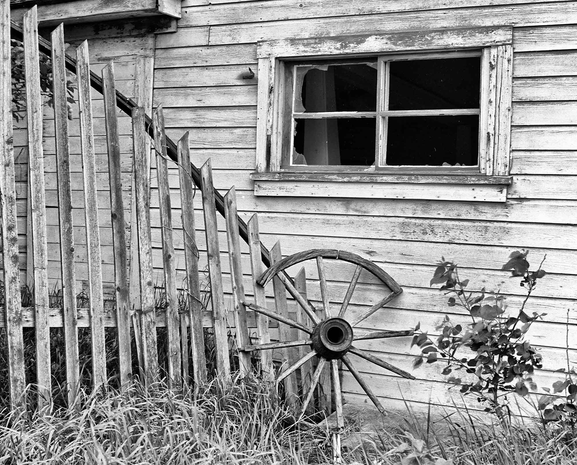 Abandoned Farmstead, Lacombe, Alberta 1989