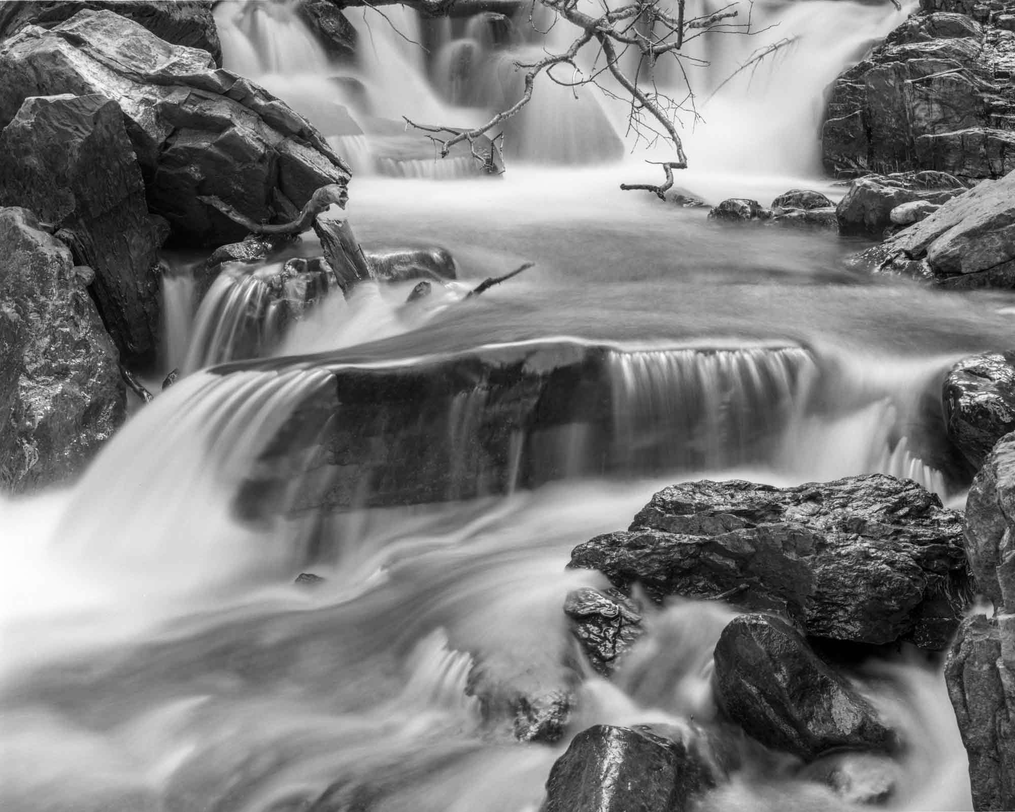 Spring Flow, Cat Creek, 2004