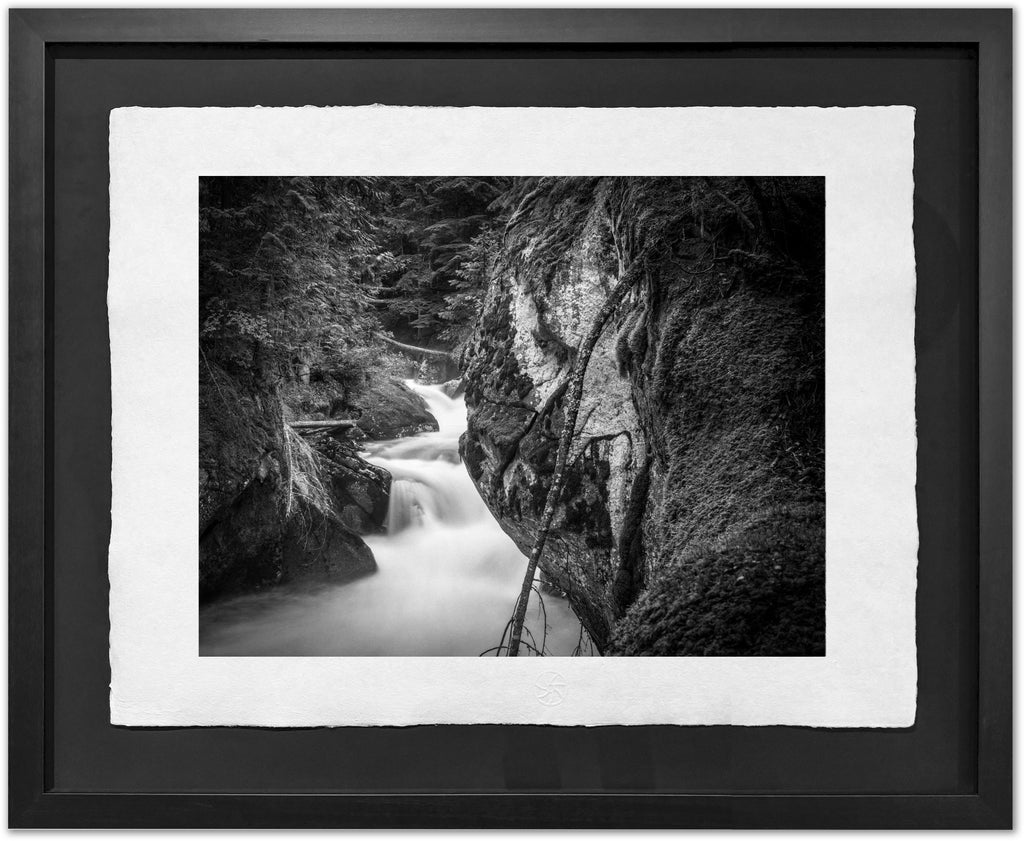 Kokanee Creek, 1992