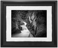 Kokanee Creek, 1992
