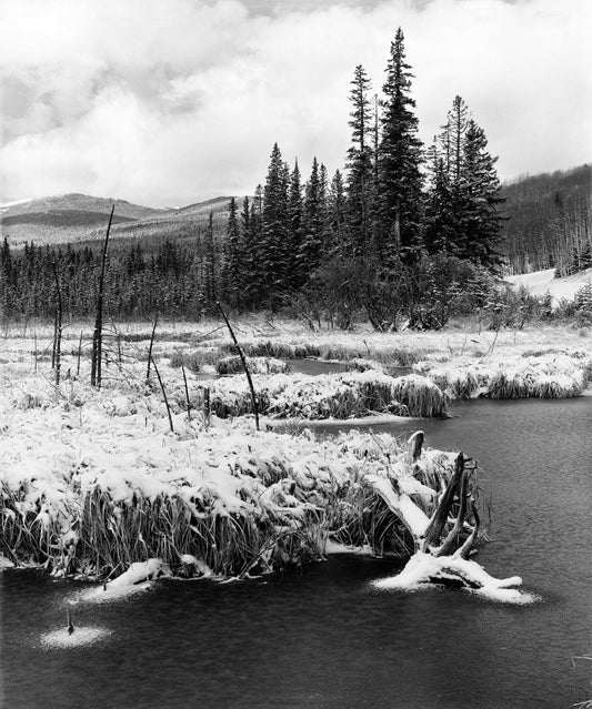 Sheep River Wilderness Area, 1997
