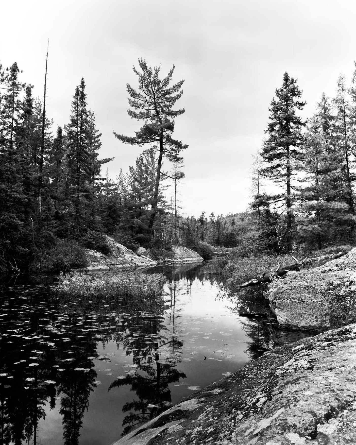 Quiet Reflection, Wilson Lake Road 1992