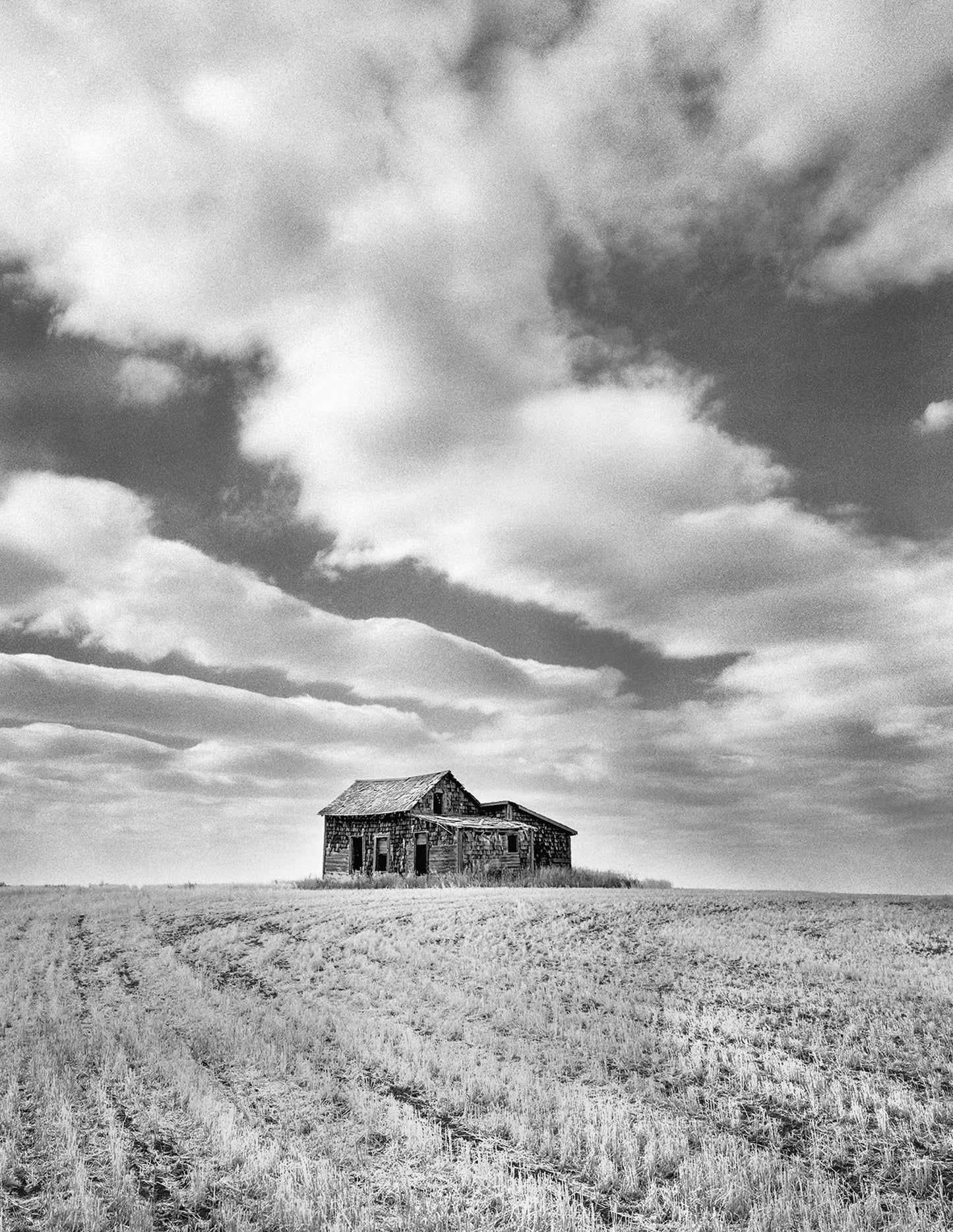Fields, Furrows and Clouds, Mossleigh, Alberta, 2001