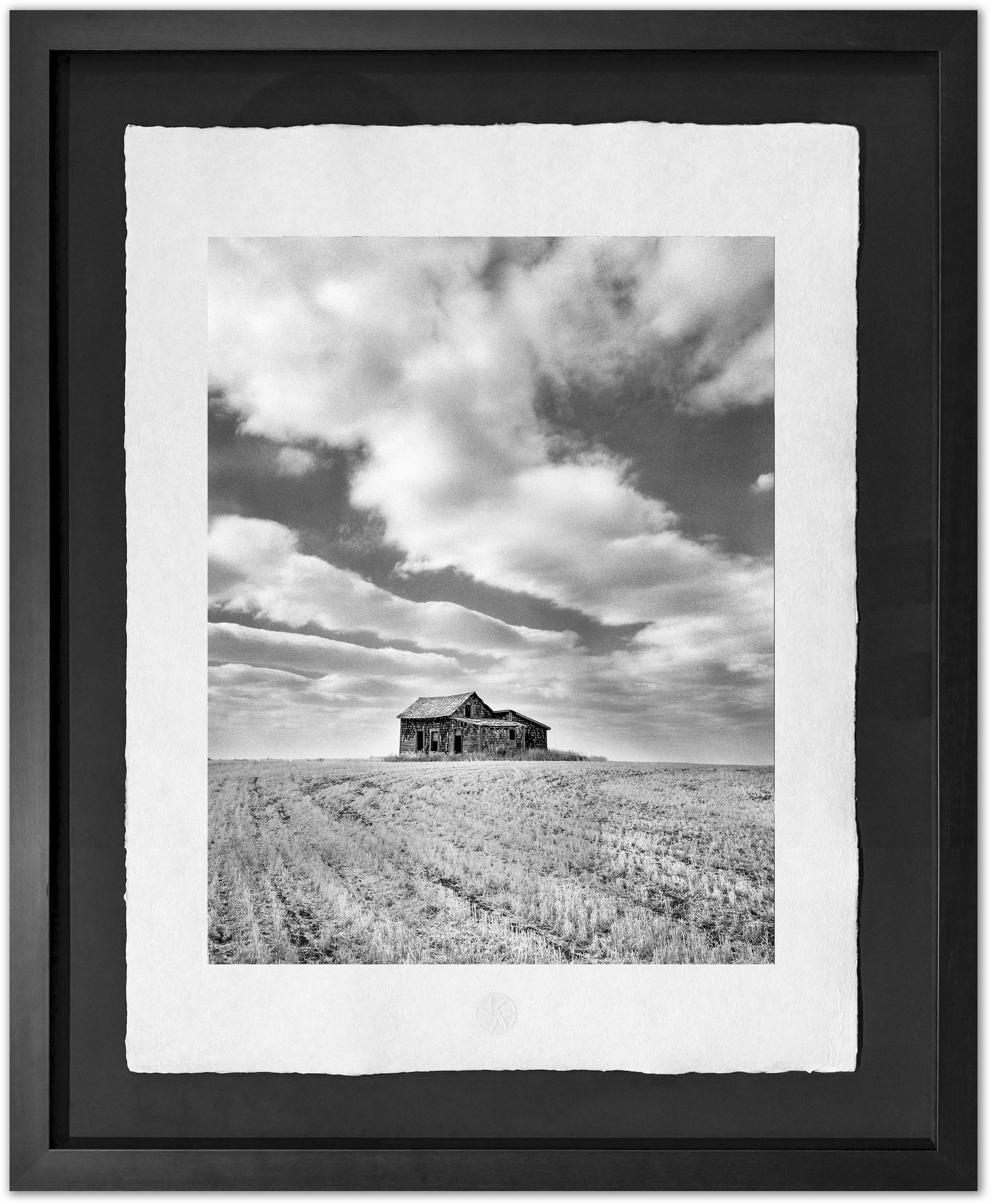 Fields, Furrows and Clouds, Mossleigh, Alberta, 2001