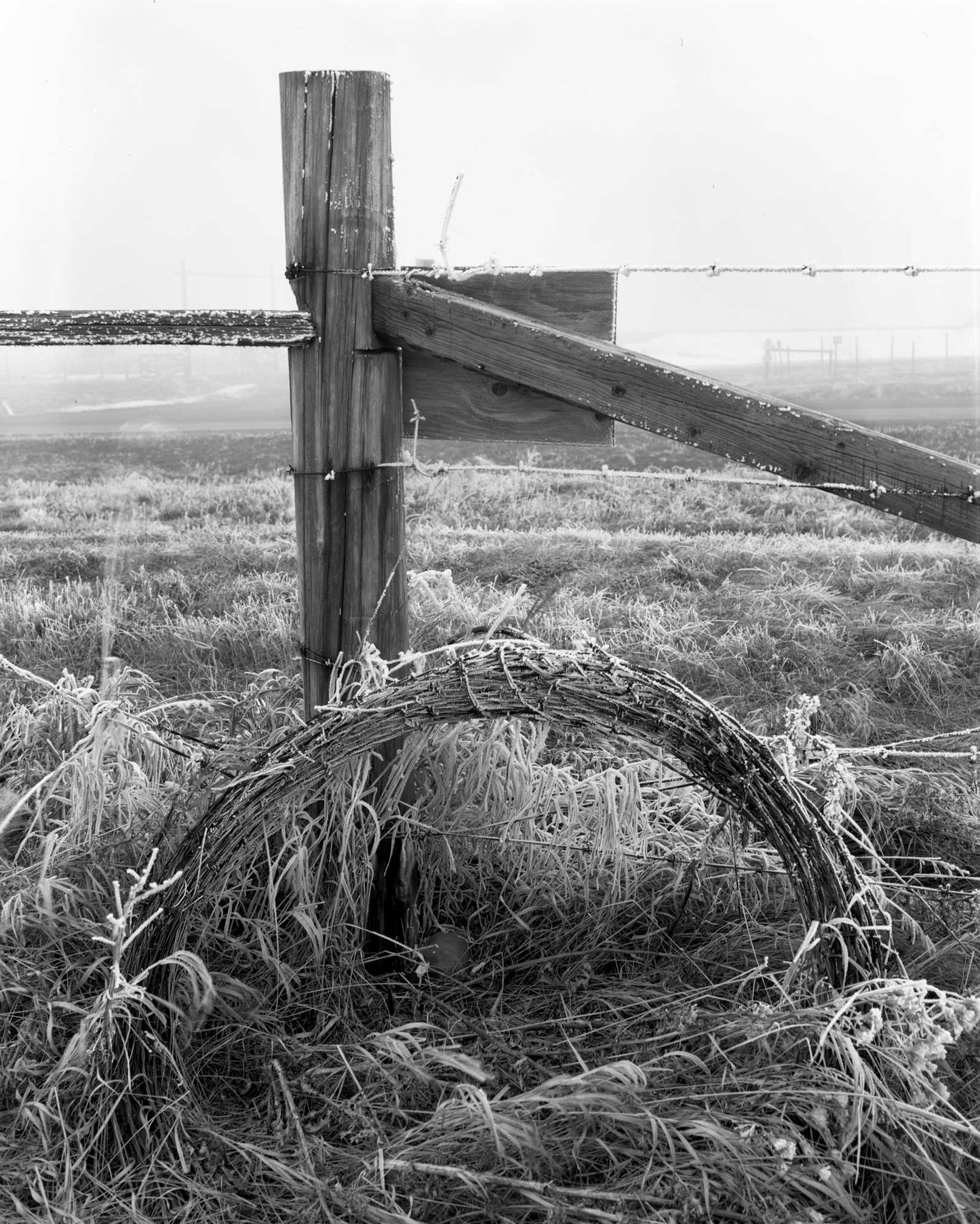 Fence Post and Barbed Wire 1991