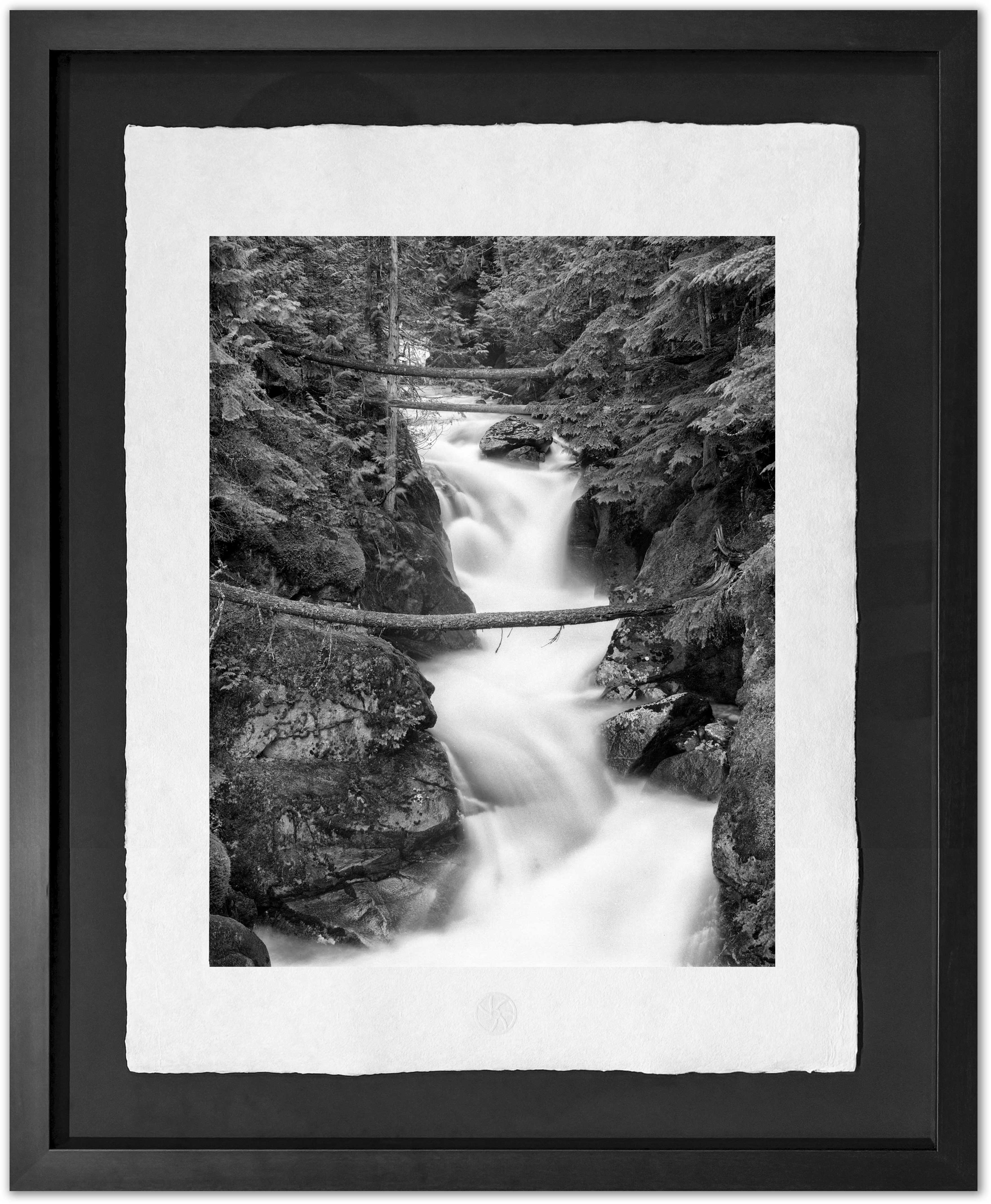 Kokanee Creek #2, 1992