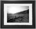 Valley Fence and Fog, Alberta 2007