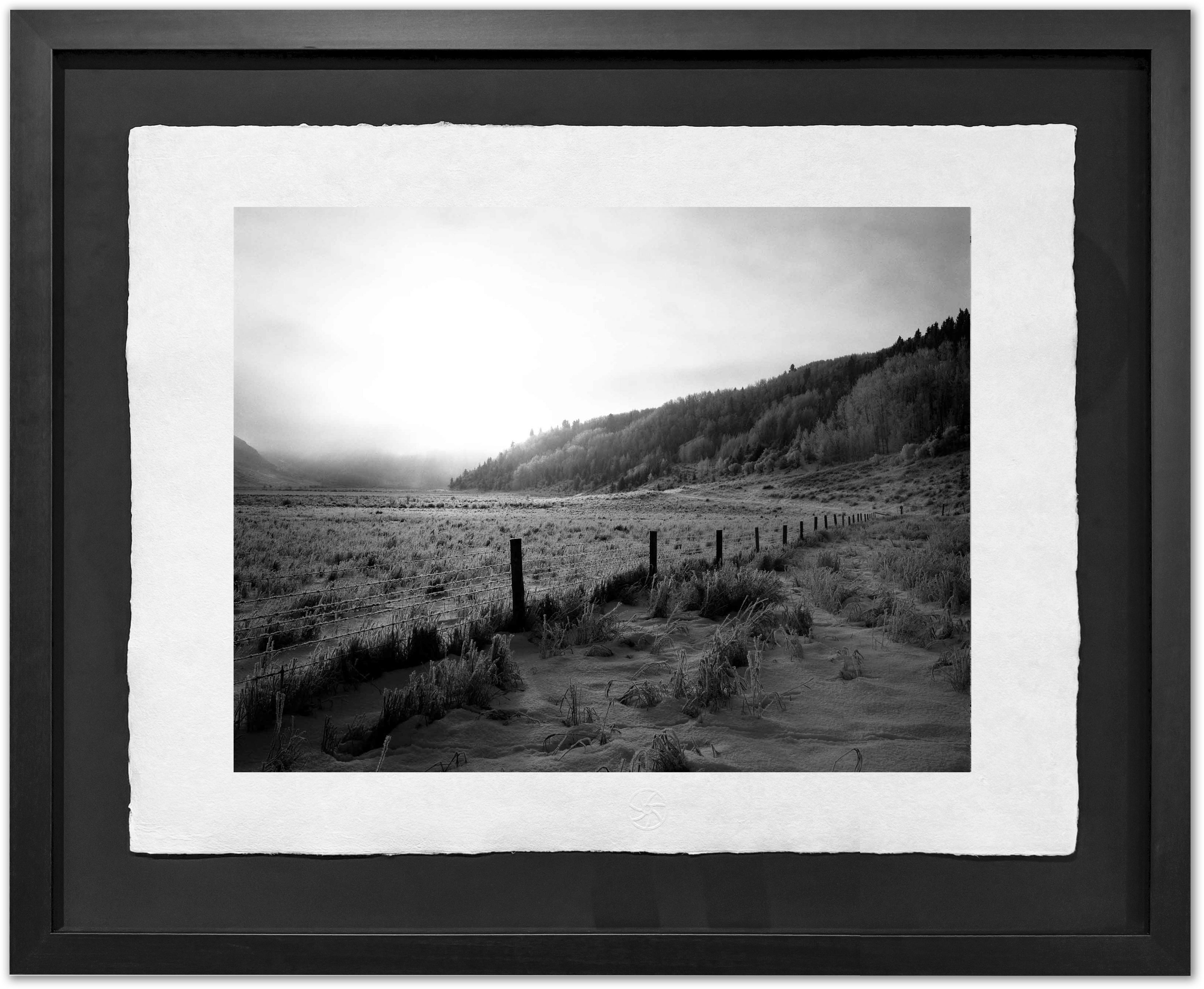Valley Fence and Fog, Alberta 2007