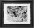 Badlands and Bison Bones, 1989