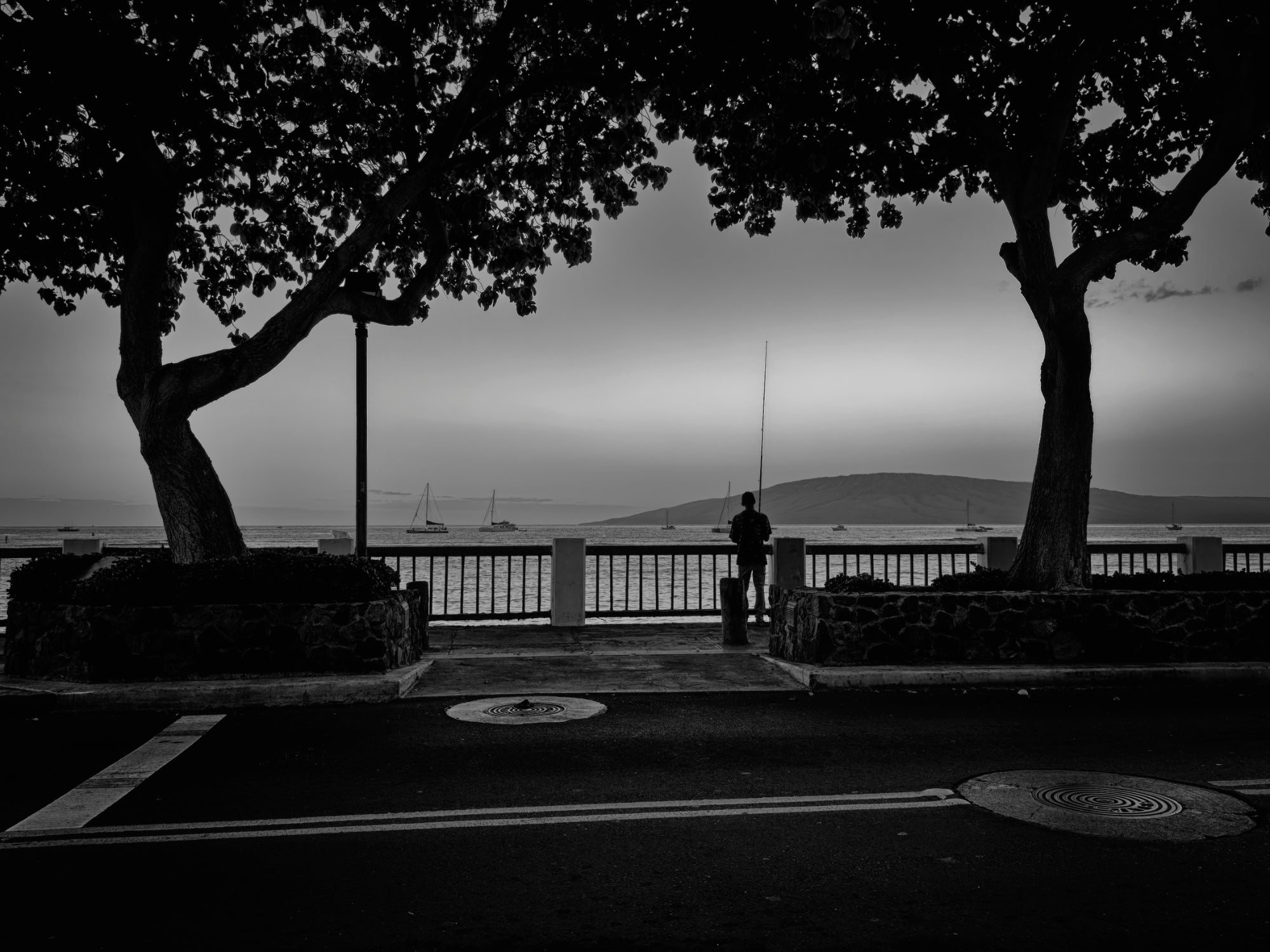Stealth Fishing, Front Street, Lahaina, 2019