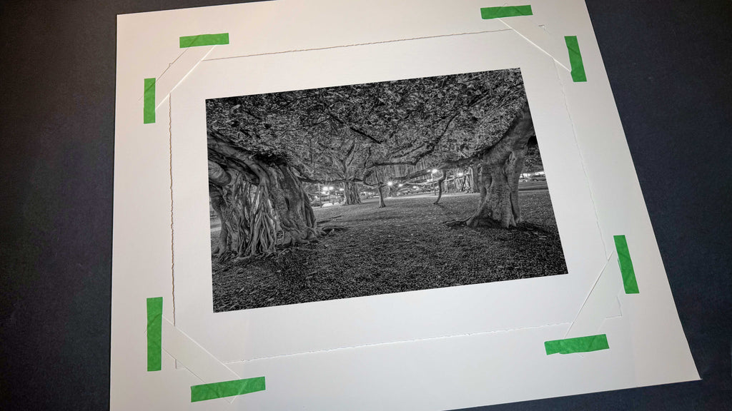 Beneath the Banyan #1, Lahaina, 2019