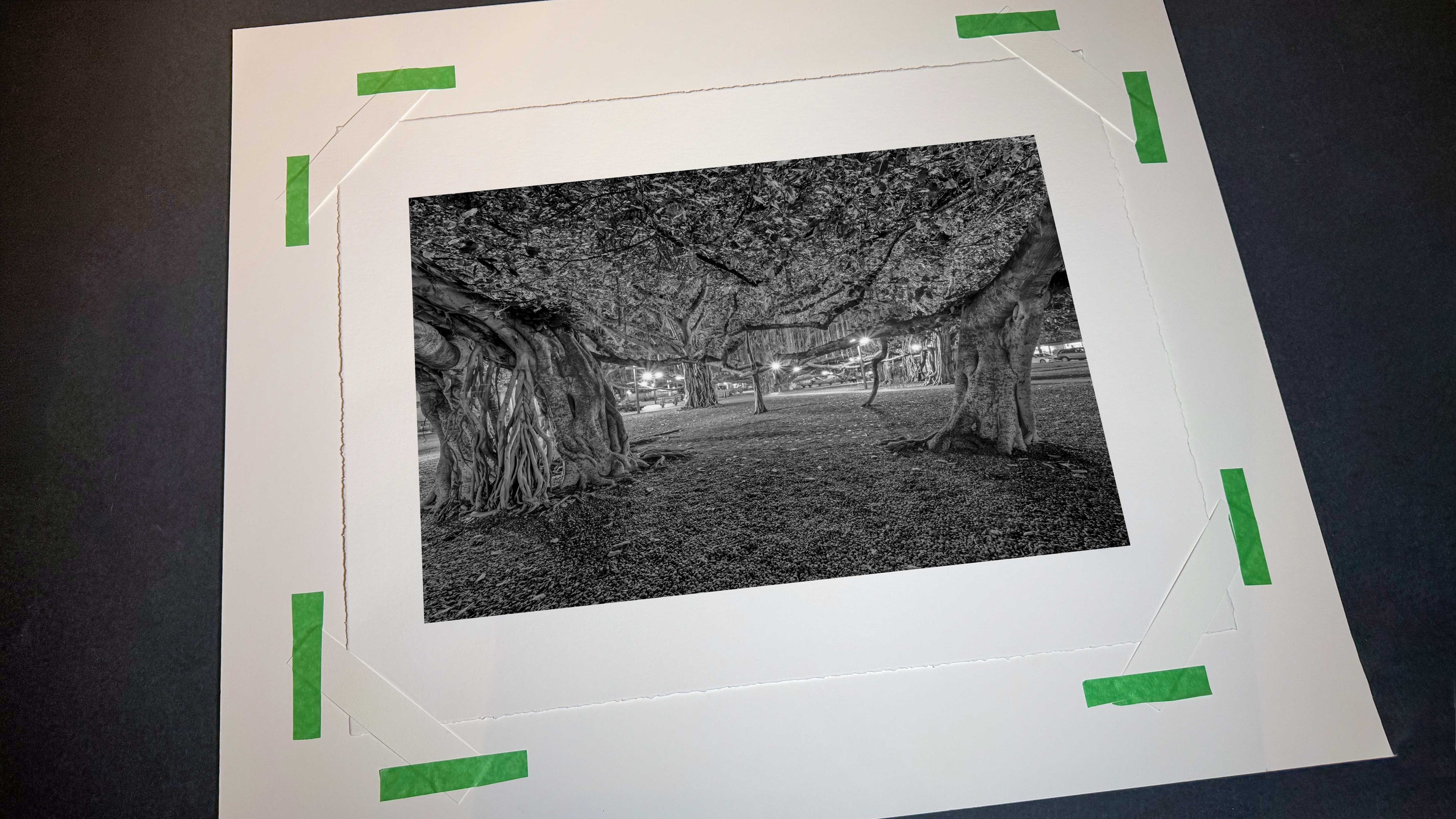 Beneath the Banyan #1, Lahaina, 2019