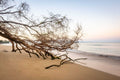 Sunrise View South, Kihei, Maui  2023