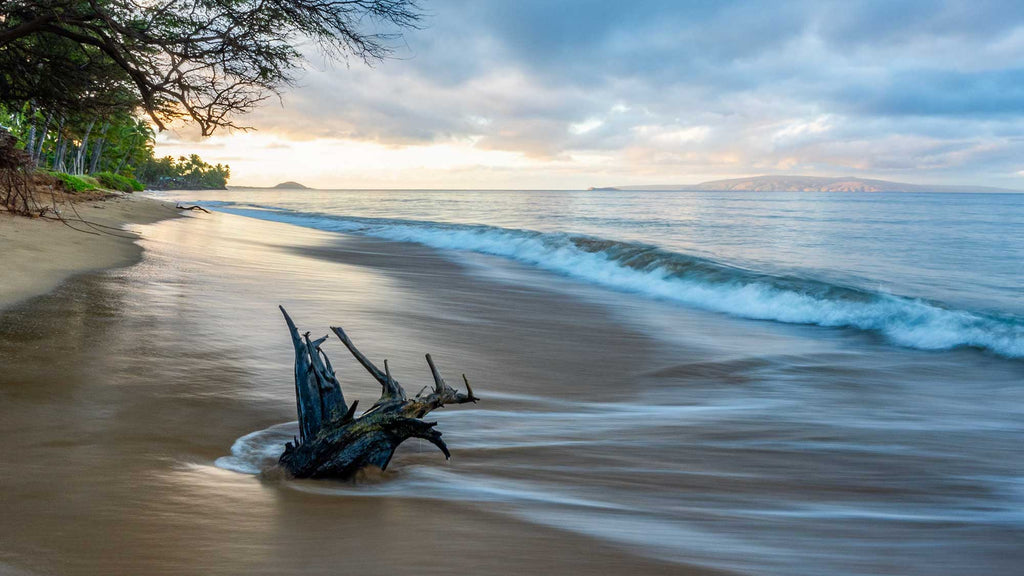 Shoreline Sunrise, Kihei, Maui  2019