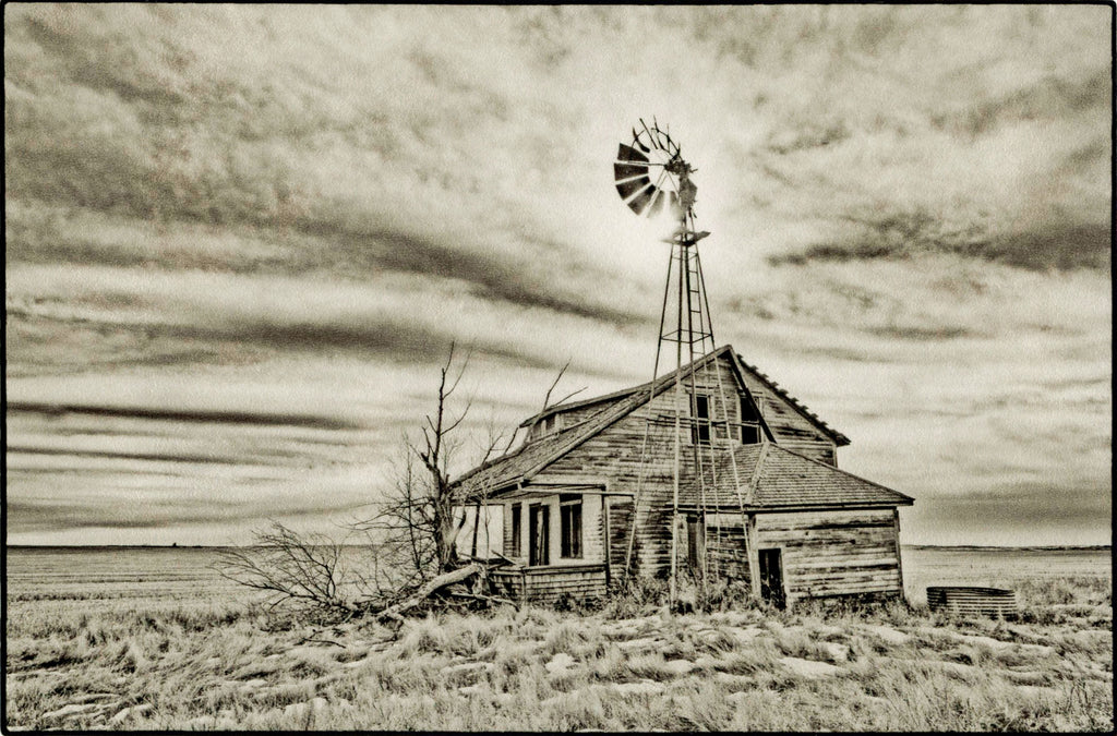 Abandoned Homestead, Saskatchewan
