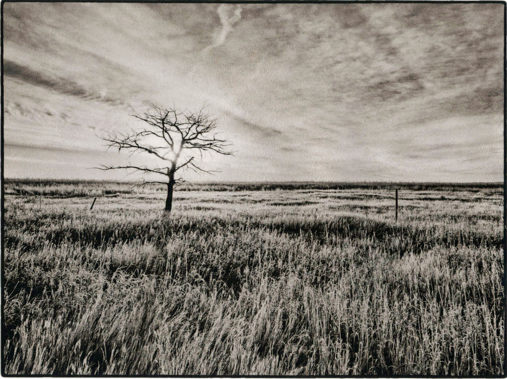 Lone Tree Sunrise, Saskatchewan