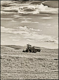 Combine in Field