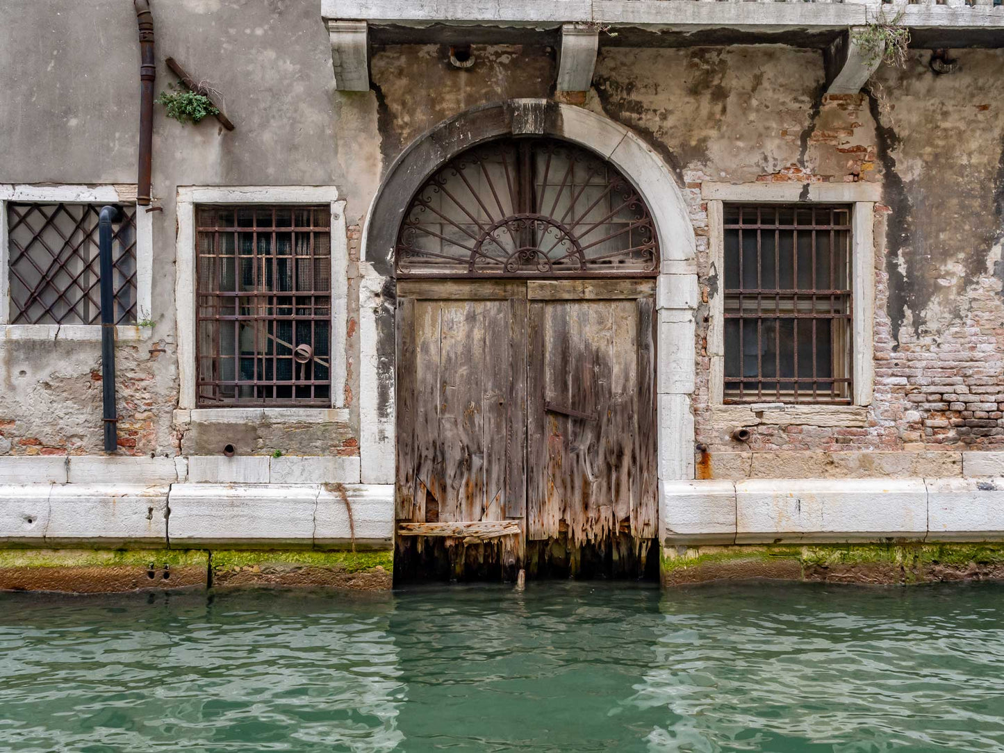 Wet Entry, Venice, Italy 2014