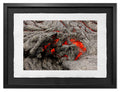 The Fire Within #2, Kīlauea Portfolio, Hawaii 2012