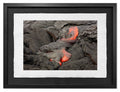 Pahoehoe Folds #3, Kīlauea Portfolio, Hawaii
