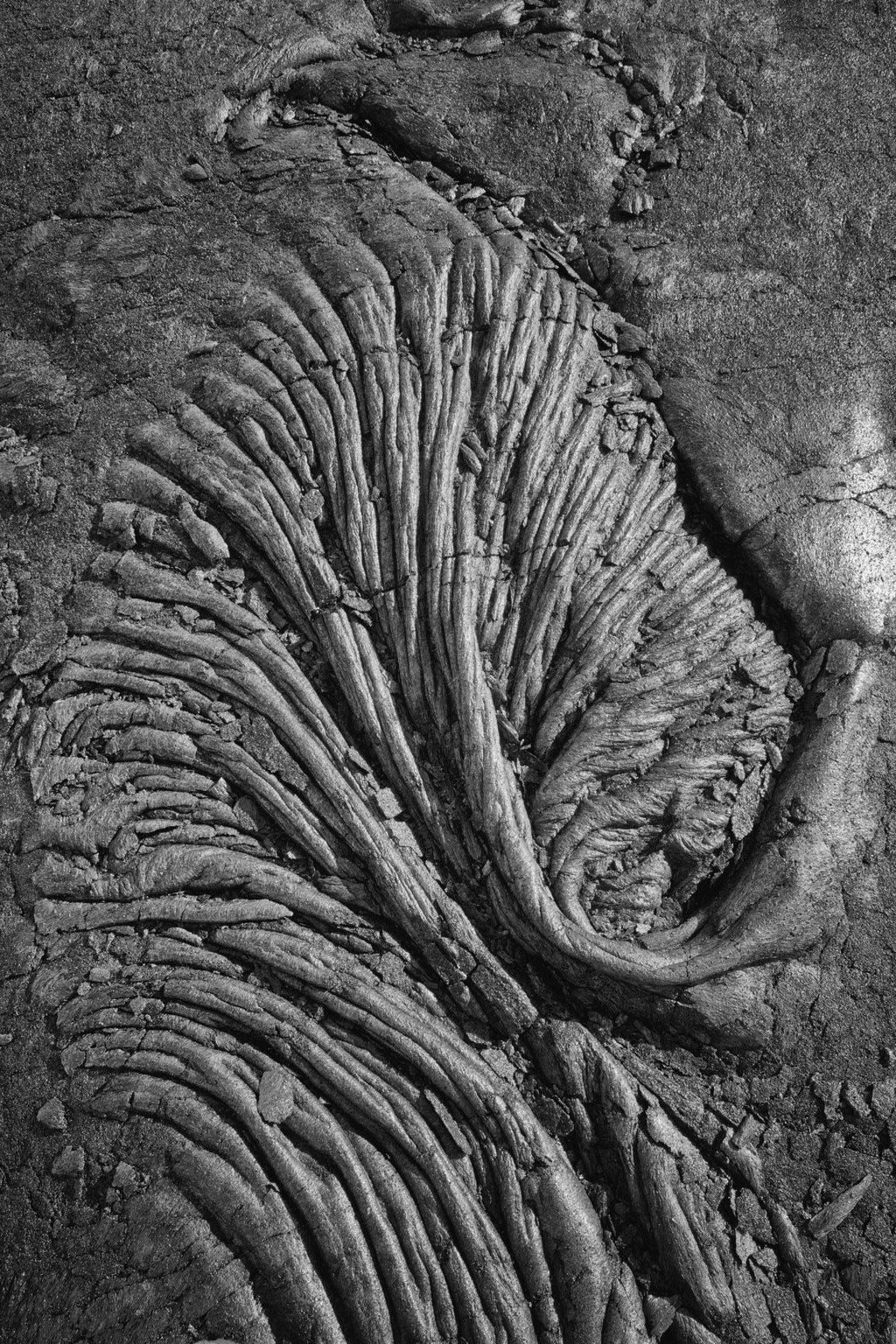 Lava Fan, Kīlauea Portfolio, Hawaii 2012