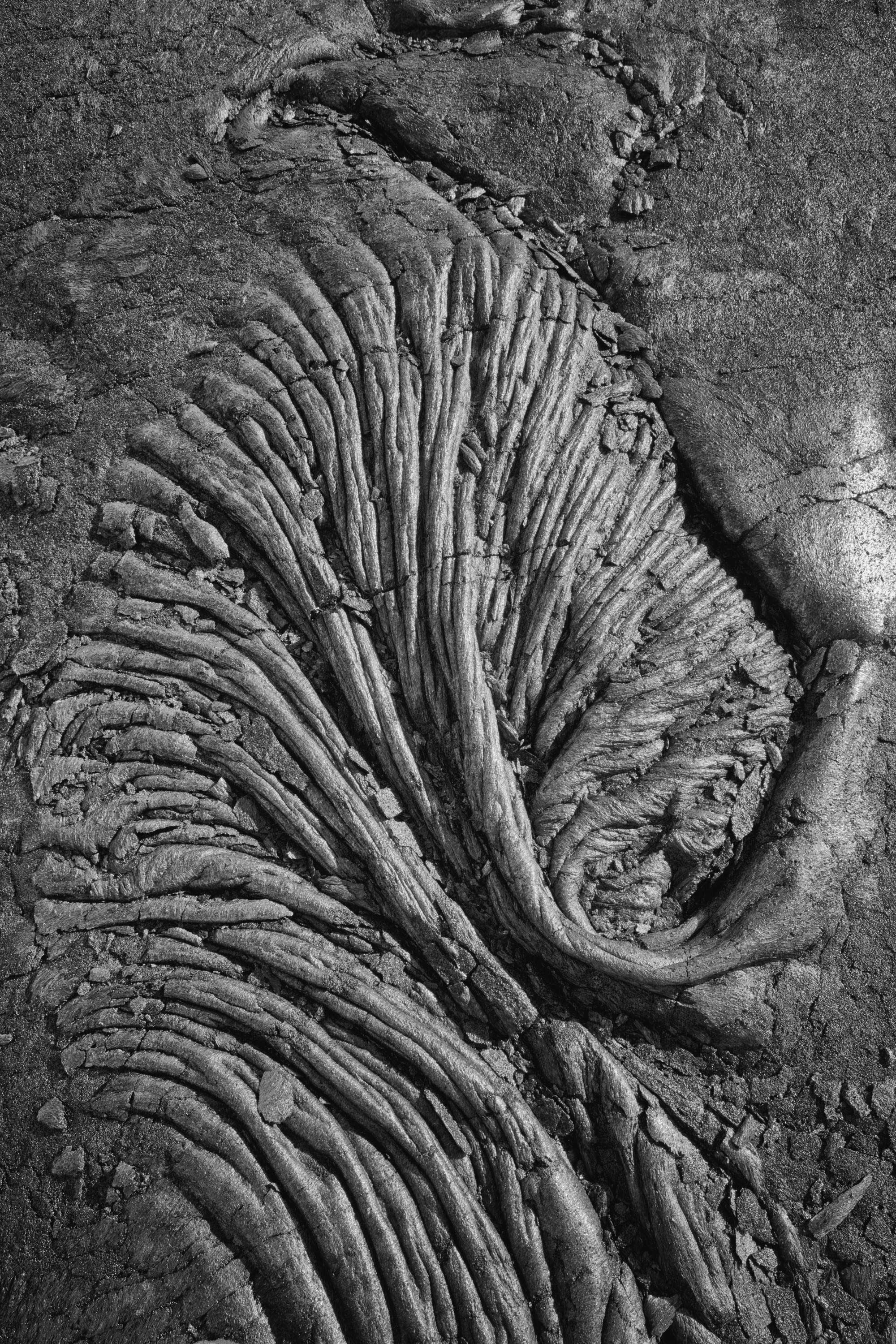 Lava Fan, Kīlauea Portfolio, Hawaii 2012