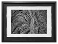 Homage to Geiger (HR) #2, Kīlauea Portfolio, Hawaii 2012