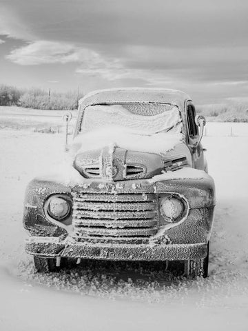 FORD, Hoarfrost, Alberta 2012
